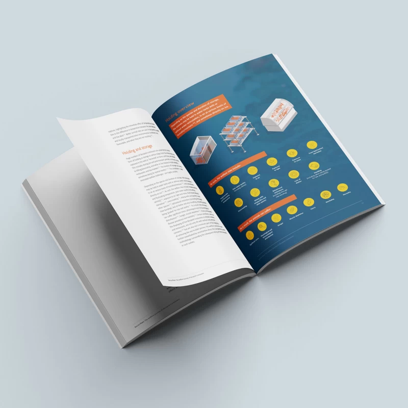 Crustacean Compassion