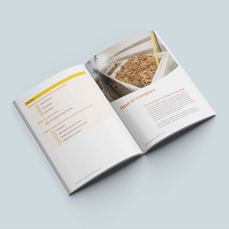 Crustacean Compassion