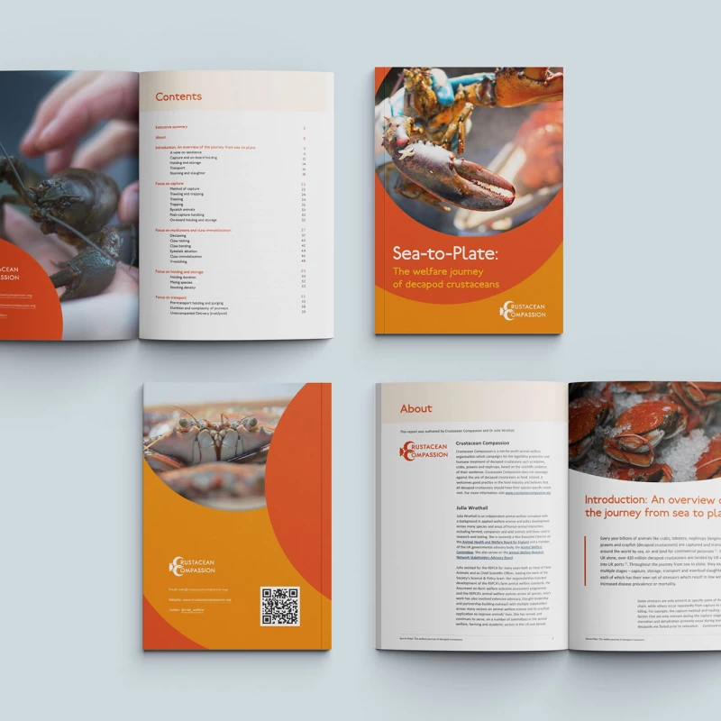 Crustacean Compassion